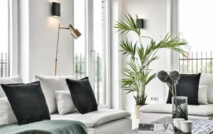 A living room with a sofa, coffee table, and potted plant.